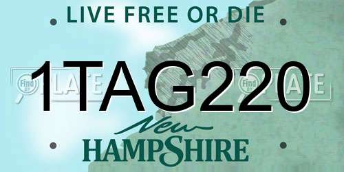 1TAG220 New Hampshire License Plate