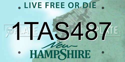 1TAS487 New Hampshire License Plate