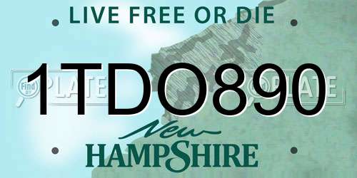 1TDO890 New Hampshire License Plate