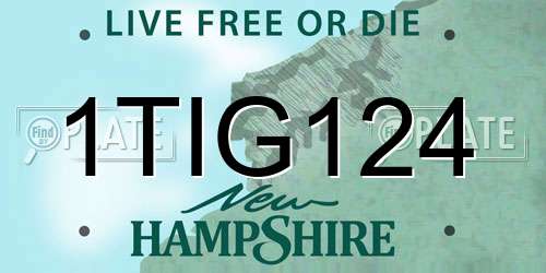 1TIG124 New Hampshire License Plate