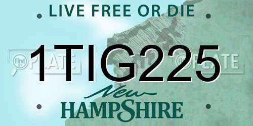 1TIG225 New Hampshire License Plate