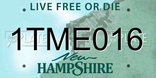 1TME016 New Hampshire License Plate