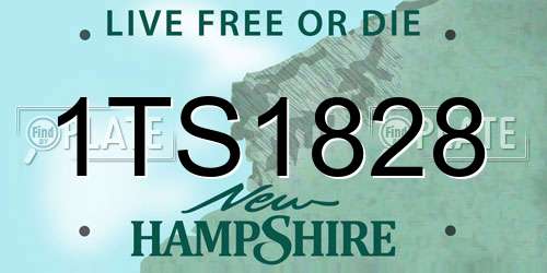 1TS1828 New Hampshire License Plate