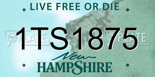 1TS1875 New Hampshire License Plate