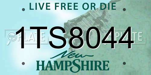 1TS8044 New Hampshire License Plate