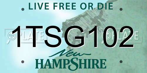 1TSG102 New Hampshire License Plate