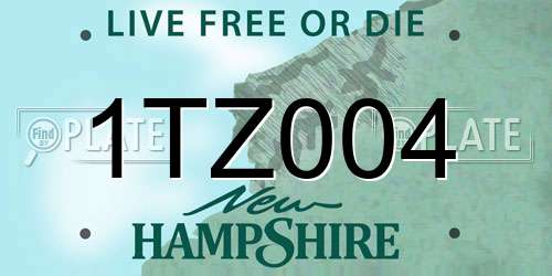 1TZ004 New Hampshire License Plate