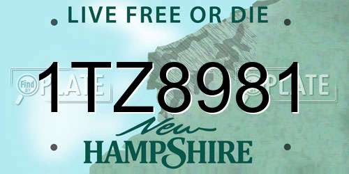 1TZ8981 New Hampshire License Plate