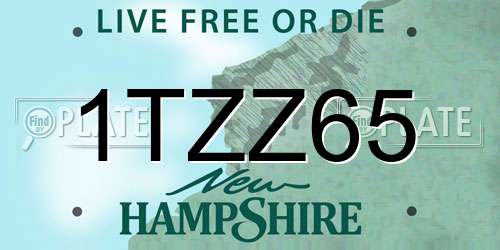 1TZZ65 New Hampshire License Plate