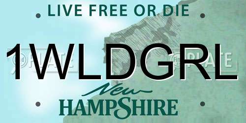1WLDGRL New Hampshire License Plate