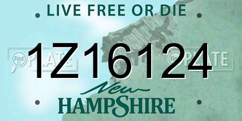 1Z16124 New Hampshire License Plate