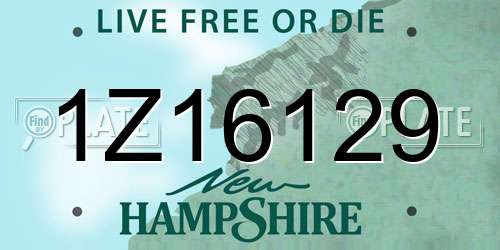 1Z16129 New Hampshire License Plate