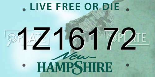 1Z16172 New Hampshire License Plate