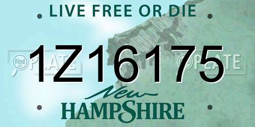 1Z16175 New Hampshire License Plate