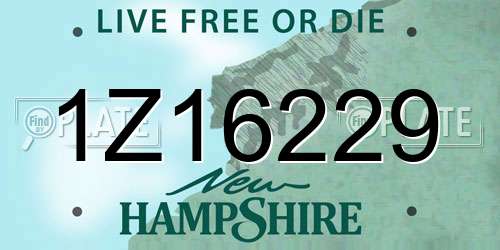 1Z16229 New Hampshire License Plate