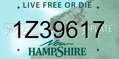 1Z39617 New Hampshire License Plate
