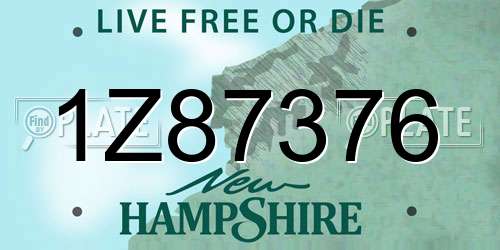 1Z87376 New Hampshire License Plate