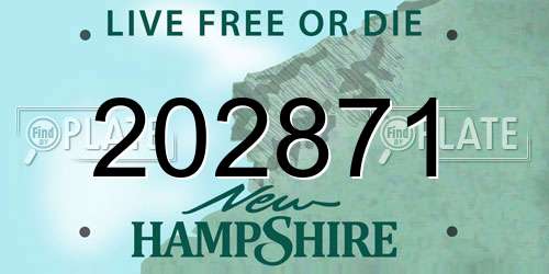 202871 New Hampshire License Plate