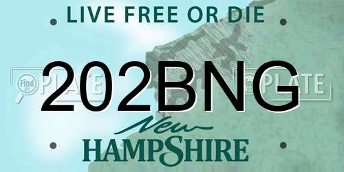 202BNG New Hampshire License Plate