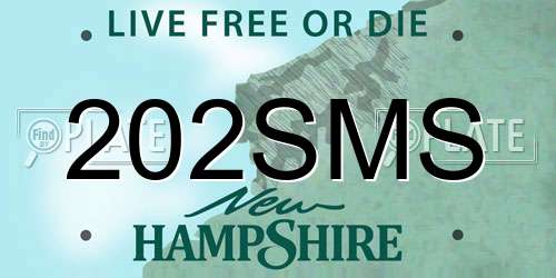 202SMS New Hampshire License Plate