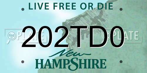 202TD0 New Hampshire License Plate