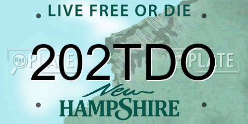 202TDO New Hampshire License Plate
