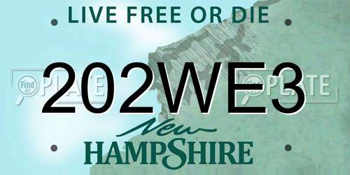 202WE3 New Hampshire License Plate