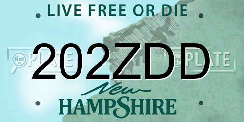 202ZDD New Hampshire License Plate