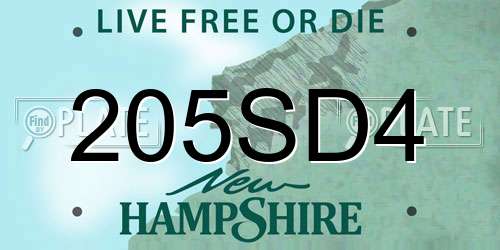 205SD4 New Hampshire License Plate