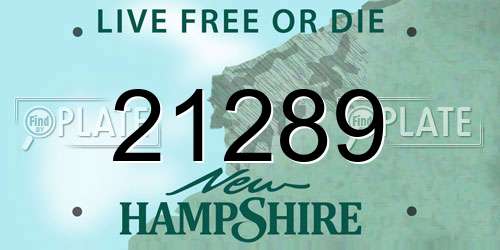21289 New Hampshire License Plate