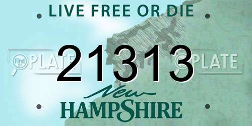 21313 New Hampshire License Plate