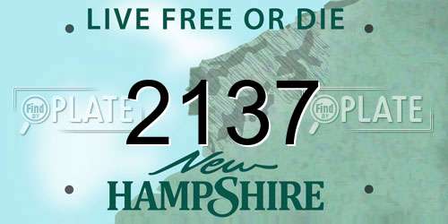 2137 New Hampshire License Plate
