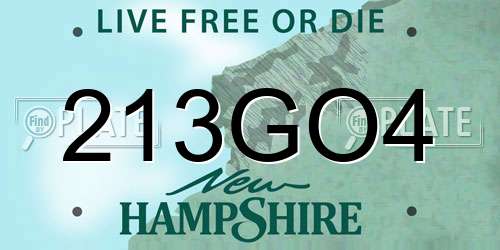 213GO4 New Hampshire License Plate