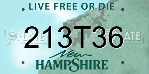 213T36 New Hampshire License Plate