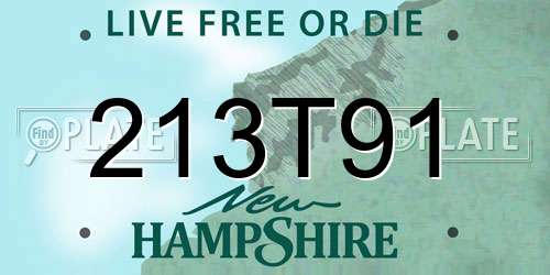 213T91 New Hampshire License Plate