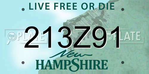 213Z91 New Hampshire License Plate