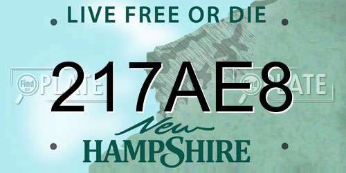 217AE8 New Hampshire License Plate