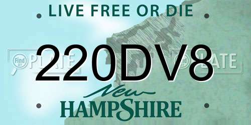 220DV8 New Hampshire License Plate