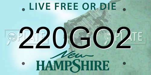 220GO2 New Hampshire License Plate
