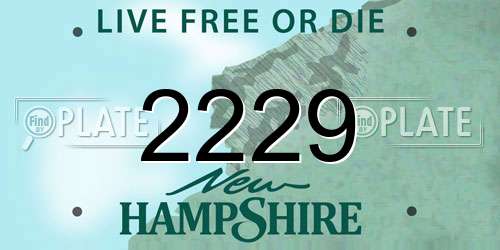 2229 New Hampshire License Plate