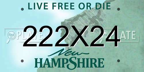 222X24 New Hampshire License Plate