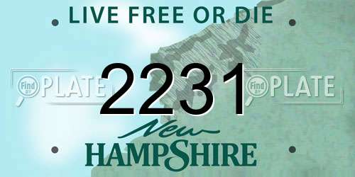 2231 New Hampshire License Plate