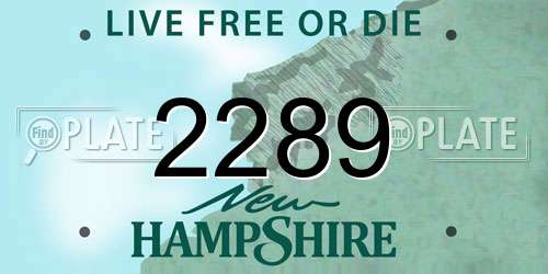 2289 New Hampshire License Plate