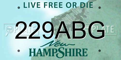 229ABG New Hampshire License Plate