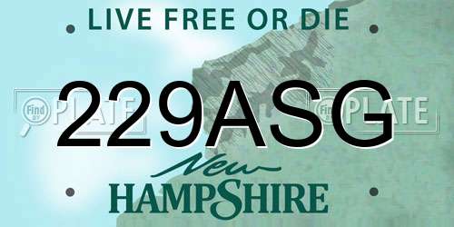 229ASG New Hampshire License Plate