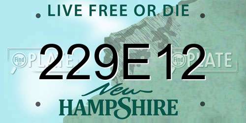 229E12 New Hampshire License Plate