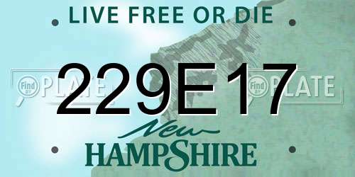 229E17 New Hampshire License Plate