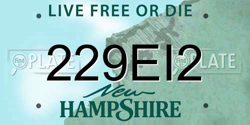 229EI2 New Hampshire License Plate