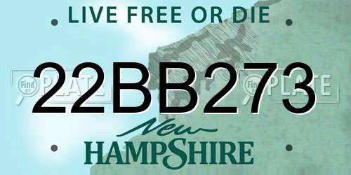 22BB273 New Hampshire License Plate