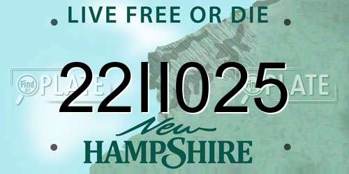 22II025 New Hampshire License Plate